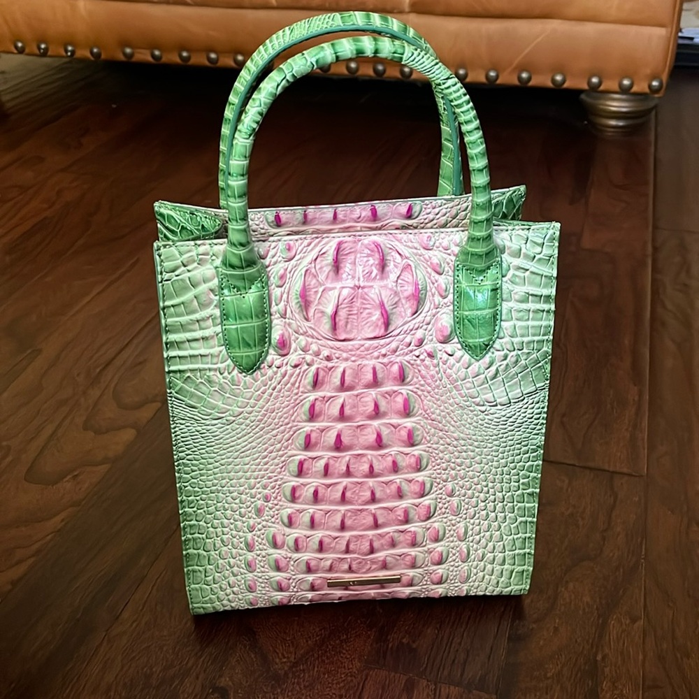 Brahmin Apple Blush Ombré Melbourne Moira Tote